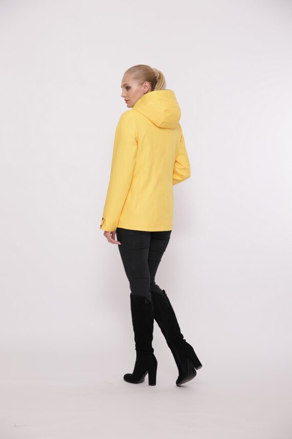 yellow (1)
